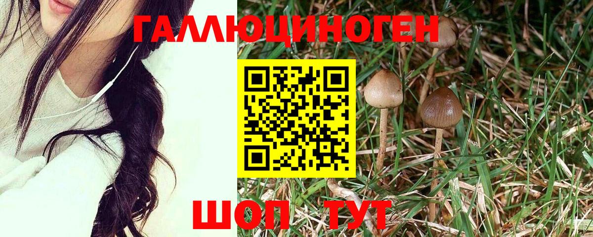 КОКАИН Железноводск